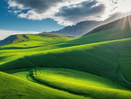 Photo analytical findings